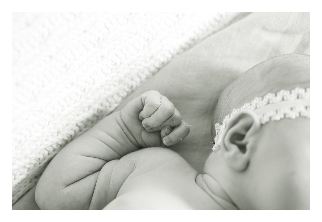 2017-11-05_0070.jpg 2017-11-05_0070.jpg