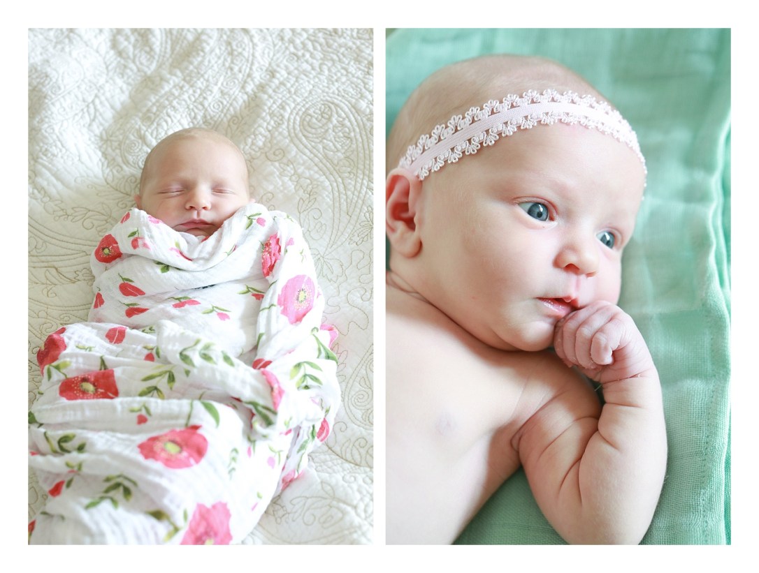 2017-11-05_0081.jpg 2017-11-05_0081.jpg