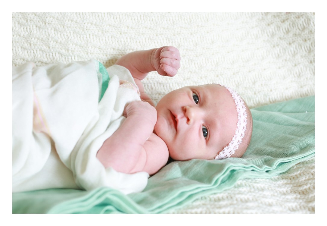 2017-11-05_0085.jpg 2017-11-05_0085.jpg